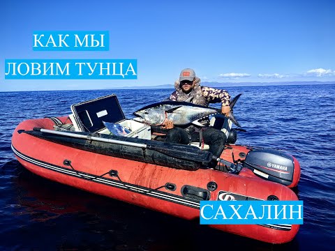 Видео: Как мы ловим тунца #рыбалка #сахалин #fishing #туризм #tuna #bluefintuna