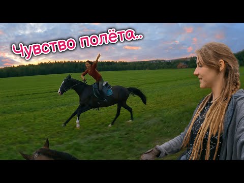 Видео: Быстрый ГАЛОП на ЗАКАТЕ | Это было атмосферно..