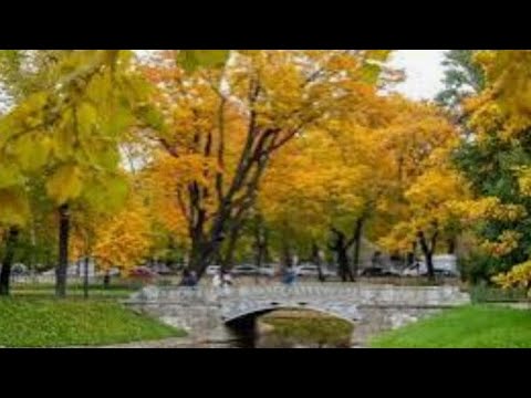 Видео: 🌻 Мой парфгардероб на октябрь🍁        #коллекцияароматов #парфюмерия #осенниеароматы #духи