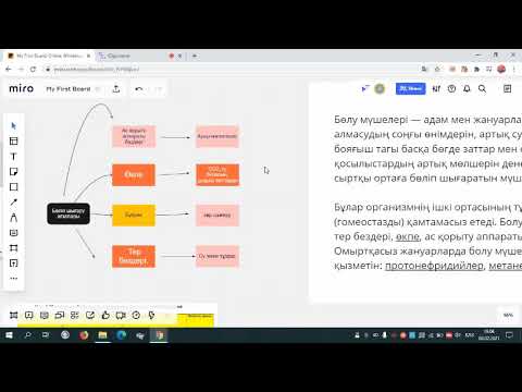 Видео: Ағзалардың тіршілігіндегі бөліп шығаратын өнімдері. MIRO платформасында.
