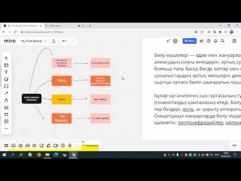 Видео: Ағзалардың тіршілігіндегі бөліп шығаратын өнімдері. MIRO платформасында.