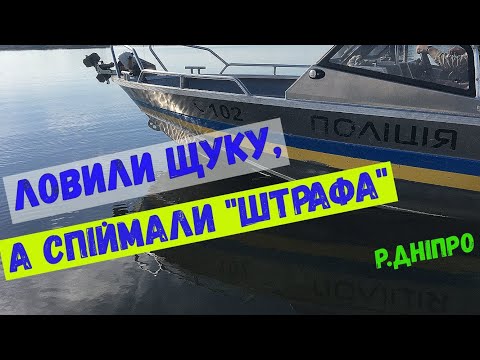 Видео: ловили щуку, а спіймали штраф#щука#окунь#спінінг#риболовлякиїв