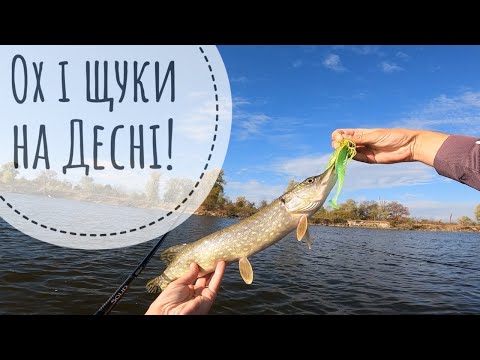 Видео: Спробуй цю проводку! Джигова риболовля на щуку на Десні.