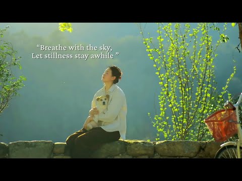 Видео: Дыши небом, Пусть тишина останется на некоторое время.../плейлист для тихих часов/