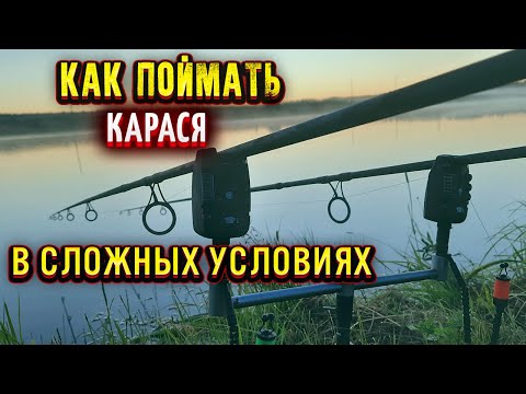 Видео: Ловля КАРАСЯ в сложных условиях на ФЛЭТ ФИДЕР как связать рабочий поводок для ФЛЭТа