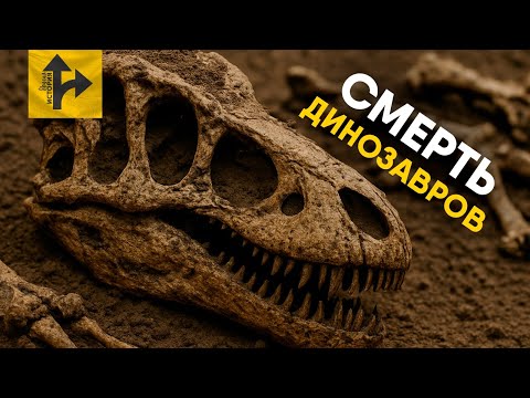 Видео: Настоящая причина Вымирания динозавров.