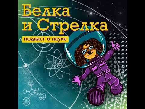 Видео: Как удерживать внимание?