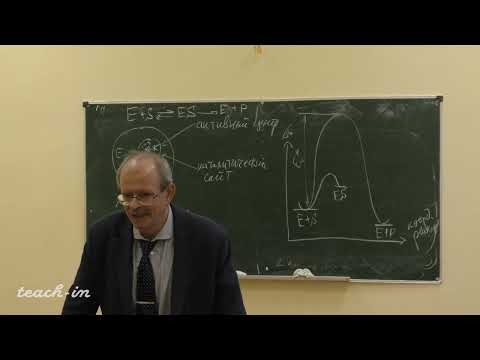 Видео: Гладилин А.К. - Введение в специальность - 10. Ферментативная кинетика