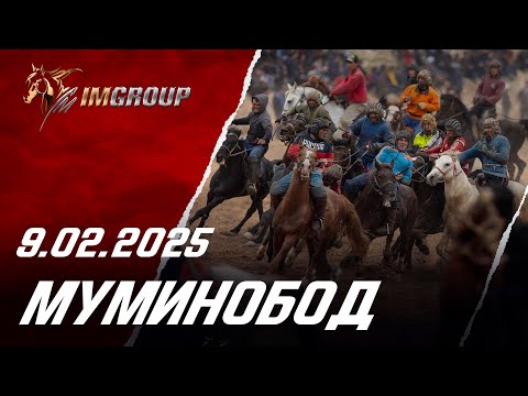 Видео: Бузкаши 9.02.2025  н.Муминобод