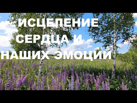 Видео: ПЕНИЕ ПТИЦ СОЗВУЧНО С ПЕСНЕЙ НАШЕЙ ДУШИ.ИСЦЕЛЕНИЕ СЕРДЦА И НАШИХ ЭМОЦИЙ.