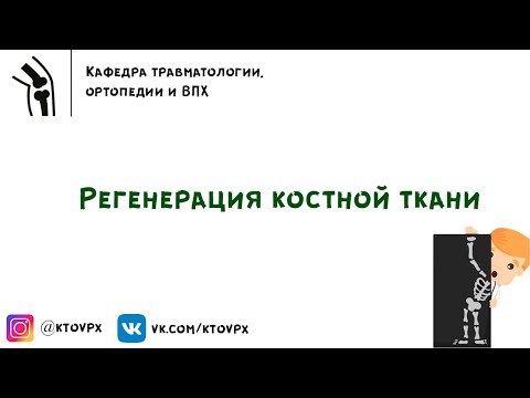 Видео: Регенерация костной ткани | Травматология и ортопедия