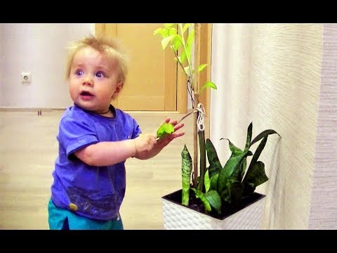 Видео: ЧТО ЗА НЯНЬКИ?!!??!!!!    ВОТ ТАК ПРИСМОТРЕЛИ......