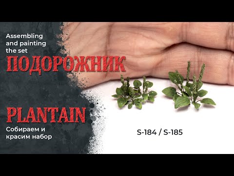 Видео: Подорожник фототравлёный - сборка и покраска