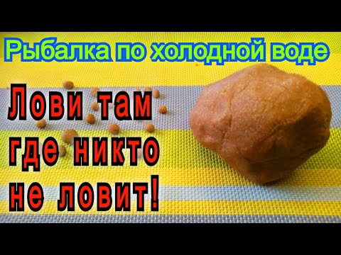 Видео: Насадка на Крупного Карпа Карася Леща! Тесто для рыбалки ПО ХОЛОДНОЙ ВОДЕ всю осень!