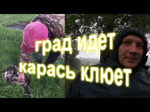 Видео: КАРАСЬ на ФИДЕР. РЫБАЛКА в НЕПОГОДУ