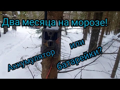 Видео: Фотоловушка SUNTEK HC-900M проверка на прочность и устойчивость к морозам!