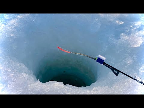 Видео: ЗИМНЯЯ РЫБАЛКА НА РЕКЕ. ЛОВЛЯ НА БЕЗМОТЫЛКУ.