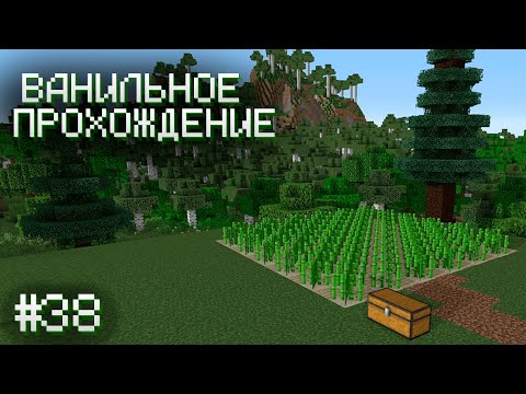 Видео: НОВОЕ ТРОСТНИКОВОЕ ПОЛЕ ▷ Прохождение Minecraft #38