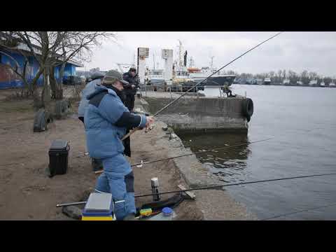 Видео: Ловля корюшки на Финском заливе порт г.  Ломоносов Санкт Петербург  10 03 2020