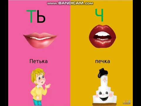 Видео: Ть-ч дифференциация звуков.