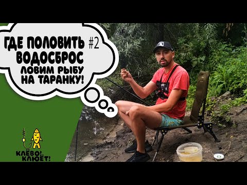 Видео: ГДЕ ПОЛОВИТЬ#2 ВОДОСБРОС. ЛОВИМ РЫБУ НА ТАРАНКУ.