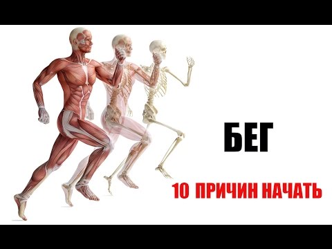 Видео: БЕГ. 10 Причин Начать!