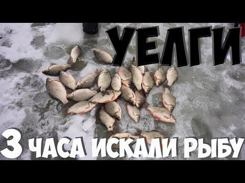Видео: Уелги, зимняя рыбалка на карася