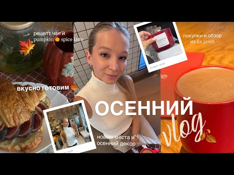 Видео: ОСЕННИЙ ВЛОГ | осенний ДЕКОР дома, ПОКУПКИ  | как я создаю уют? 