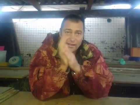 Видео: КРОЛЬЧИХИ НЕ ИДУТ В СЛУЧКУ? ВАМ СЮДА!!!