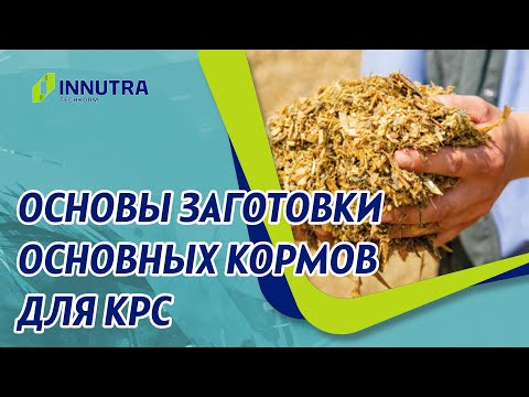 Видео: Основы заготовки кормов для КРС