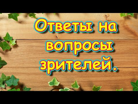 Видео: Ответы на вопросы зрителей. (11.25г.) Семья Бровченко.