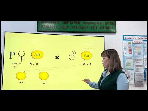 Видео: Сабақтың тақырыбы: “Моногибридті және дигибридті будандастыру. Басымдылық заңы. Ажырау заңы”