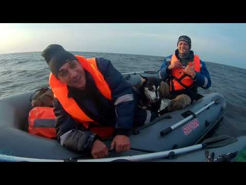 Видео: Реально ли в 7 м/с, с порывами до 10 м/с по Белому морю на лодке ПВХ?