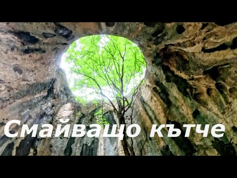 Видео: Пещерата с дървото