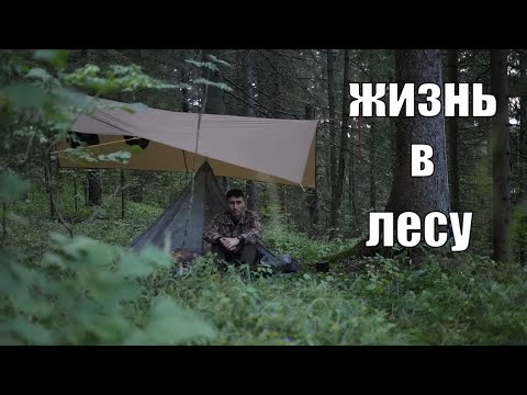 Видео: Бушкрафт в компании с дикой лисой, рыбалка, советы