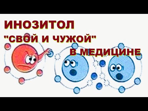 Видео: А.С.Духанин, О.Г.Михалева. Природные молекулы и ксенобиотики: диалог эндокринолога и фармаколога