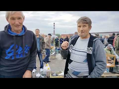 Видео: Ярмарка голубей г.Тула 16.09.23