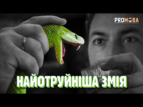 Видео: ЯК ЗБИРАЮТЬ ОТРУТУ ДЛЯ ПРОТИОТРУТИ 🐍 [VERITASIUM]