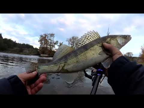 Видео: РЕКА ИСЕТЬ РЫБАЛКА 2023