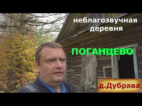 Видео: Деревня в лесу. Заброшенная деревня на севере Нижегородской области. Люди ушли навсегда.