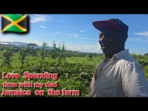 Видео: Провожу время с отцом на природе Simple Life Сент-Энн Ямайка 🇯🇲