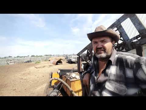 Видео: Гнем дуги 2022 г. день 3, ч1.