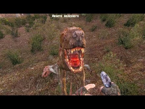 Видео: У МЕНЯ ЕСТЬ ТОЛЬКО ОДНА ПОПЫТКА. STALKER Call of Chernobyl ОДНА ЖИЗНЬ. #1