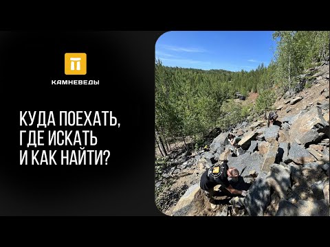 Видео: Куда поехать, где искать и как найти?