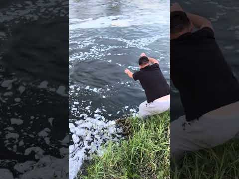 Видео: Рыбалка на хищных 🎣#рыбалка2024 #fishing #рыболовная #рыба #рыбалка #природные #carp  #carpfishing