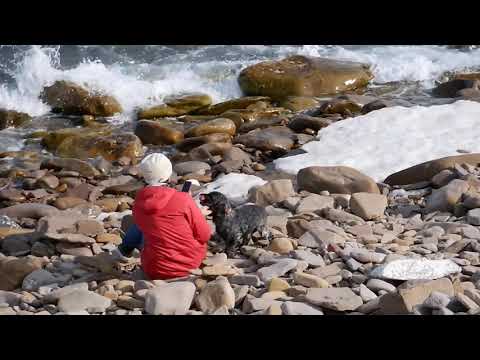 Видео: Весенние мечты о лете