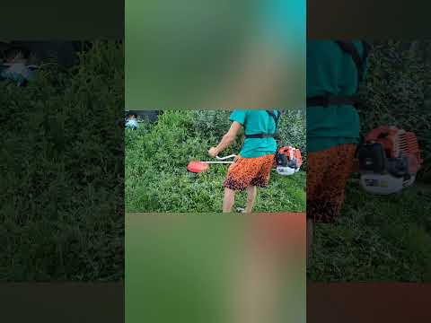 Видео: Тример Fubag Fpt 43. ОБЗОР.