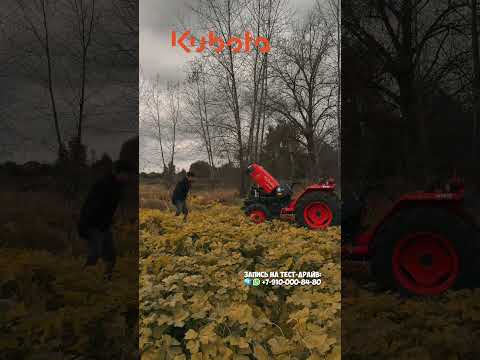 Видео: Нужна надежная машина на все случае жизни? Kubota L3408 4WD  #трактор #минитрактор #купитьтрактор