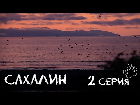 Видео: Выжить на Сахалине в пешем походе| Серия 2| Рыбалка, икра, кунджа, красноперка, терпуг| мыс Железный