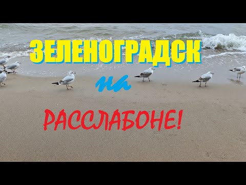 Видео: Зеленоградск вздохнул после нашествия туристов.Чем курорт живёт сейчас.В Калининграде грибы!д/р МАМЫ
